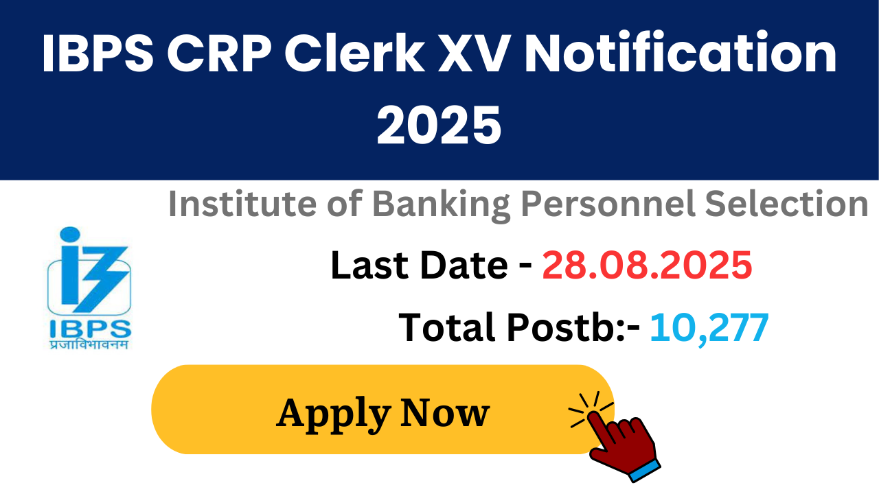 IBPS CRP Clerk XV Recruitment 2025